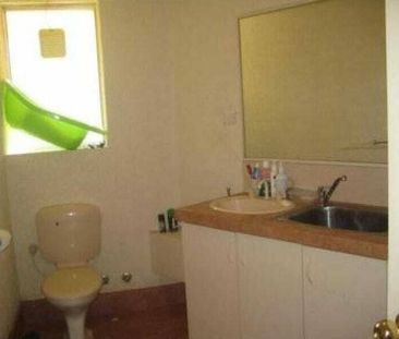 Nature Loving Urban Retreat - Photo 4