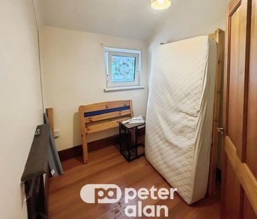 4 bedroom property to rent - Photo 5