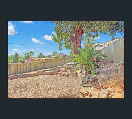 7 Cedric Avenue, Redwood Park, SA 5097 - Photo 1