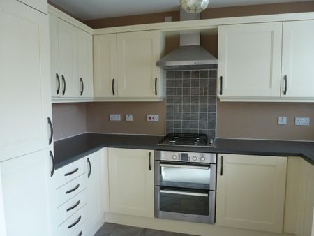 Water Meadow Way, Downham Market - Photo 4