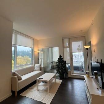 Beautiful 2Br plus Den/ 2 Bath at Wall Center Central Park - Photo 1