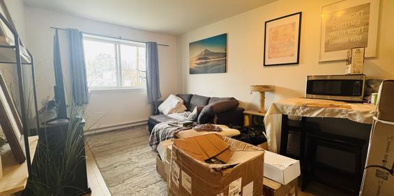 Guillaume-Couture Appartement 3 ½ à Louer Lévis Août 2025 - Photo 3