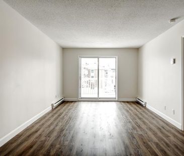 Appartement 3 ½ à louer Sainte-Foy / Sillery février 2026 - Photo 1