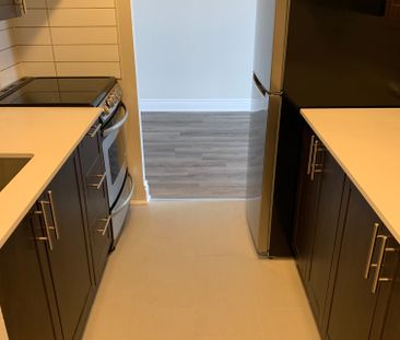 215 Clarence Street Apartments - Photo 3