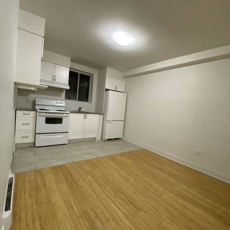 Brand New 1 1/2 Studio All Furnished - Photo 4