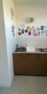 Location Appartement 1 pièce 23m² RENNES 35000 - Photo 3