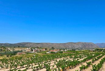 WIDE ESTATE FOR RENT IN TEULADA FOR LONG TERM