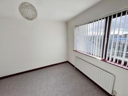 29a Lurganure Road, Lisburn, BT28 2TS - Photo 3