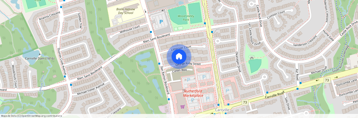 54 George Kirby Street Unit# Lower, Vaughan