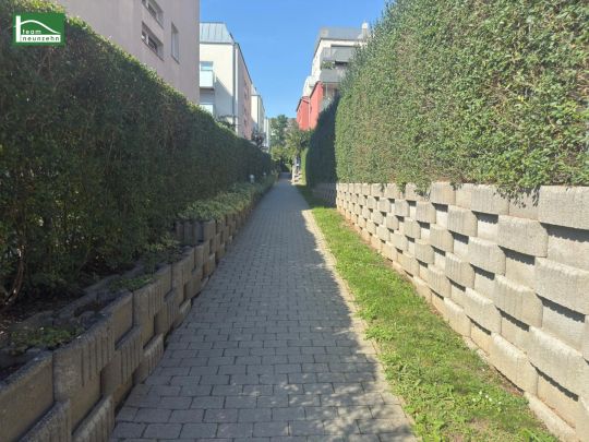 Großzügige 5-Zimmer-Wohnung in Wiener Bestlage – sofort bezugsfertig!! - Foto 1