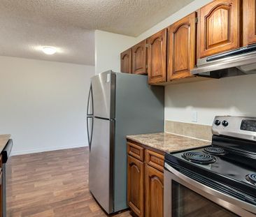 Renovated Suite - 1 Bedroom - Photo 1