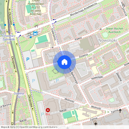 ul. Dzielna 21, Nowolipki, Wola, Warszawa, mazowieckie