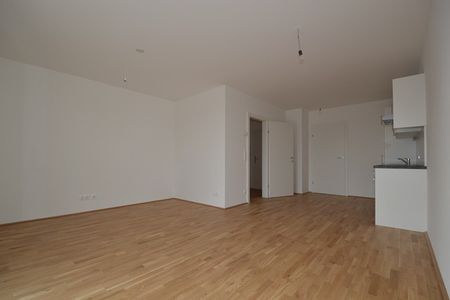 Annenviertel / Zentrum – 55 m² – großer Südbalkon – 2 Zimmer – Schlossbergblick – ab sofort - Photo 2