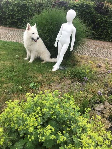 Vlaamse Ardennen Maarkedal Natuurreservaat 't Burreken - Foto 5