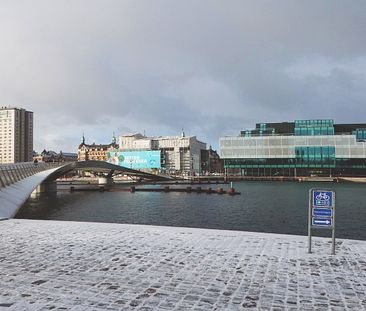 Islands Brygge – Langebrogade – korttidslejemål - nydelig, møbleret... - Foto 2