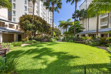 Level13/42 Refinery Drive, Pyrmont NSW 2009 - Apartment For Rent | Domain - Photo 3