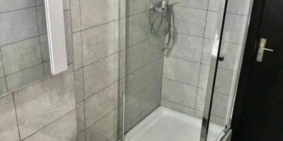 Garsoniera de inchiriat Delta Vacaresti - Fotografie 3