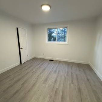 Newly Renovated 3 Bedroom Apartment - Photo 1