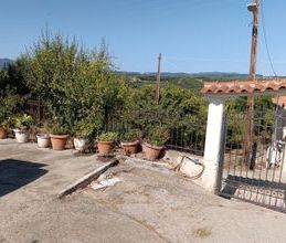 Μονοκατοικία για ενοικίαση - Μεσσήνη, - Photo 6