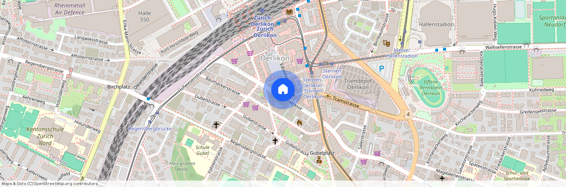 Franklinstrasse 14, 8050 Zürich