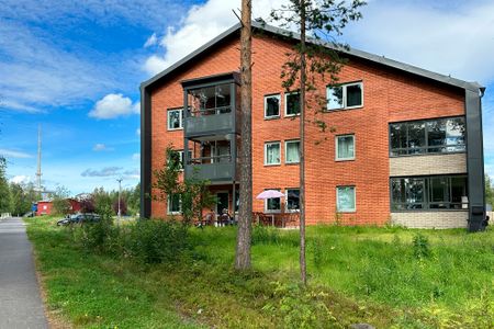 Innovationsgränd 2, 94163, Piteå - Foto 4