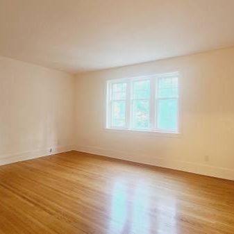 Large 1 Bedroom Apartment For Rent Downtown Toronto - Photo 3