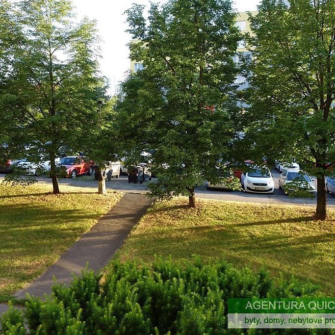 Pronájem bytu 1+1 30 m² - Фото 1