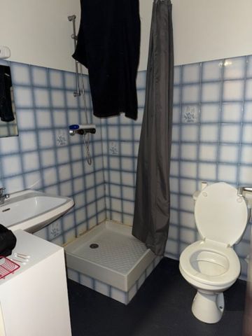 Location Appartement 1 pièce 19m² - Photo 4