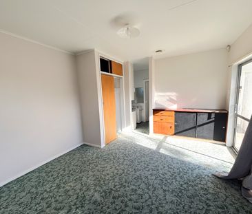 Awapuni - 4 Bedrooms - Photo 1