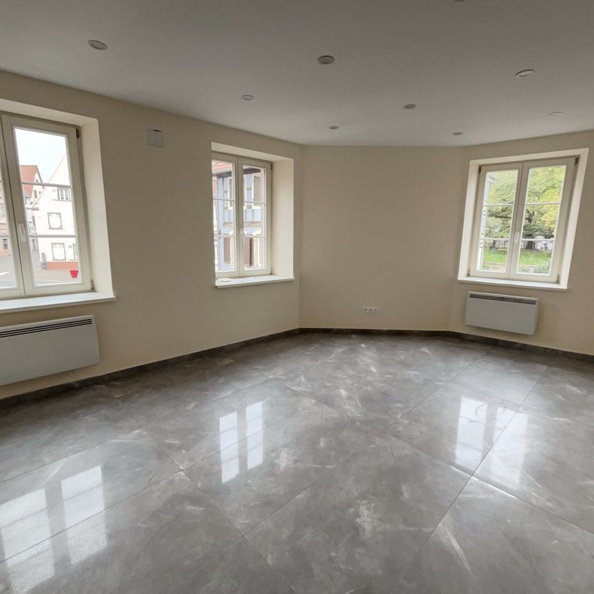 Location Appartement 4 pièces 69m² SELESTAT 67600 - Photo 1