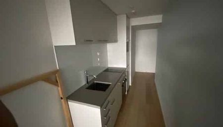 1 Bedroom 1 Bathroom (Furnished Studio Apartment) - Photo 3