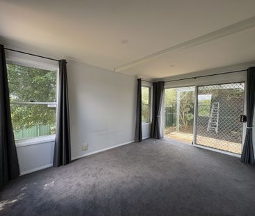 South Hill Town House - Photo 4