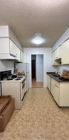 Large one bedroom apartment unit on E Pender street Near Commercial Dr - Photo 1