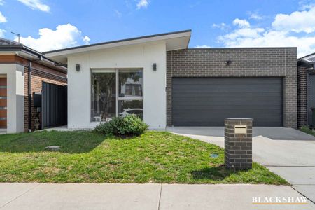 Modern Throsby Home - Photo 4