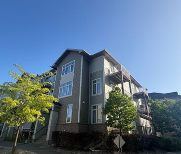 For Lease - 298C Everest Private Unit# 222, Elmvale Acres and Area, Ontario - Photo 5
