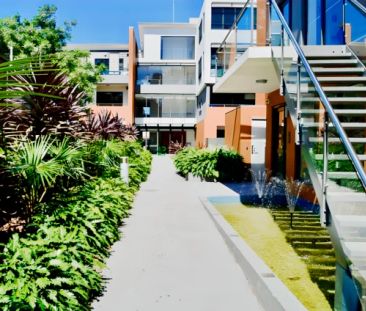 32 Barker St, Sydney - Photo 6