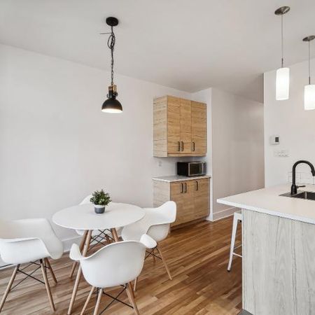 3 1/2 - Montréal - 1 835 $/mois - Photo 4