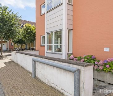 2-værelses Lejlighed på 70 m² i Silkeborg - Photo 6
