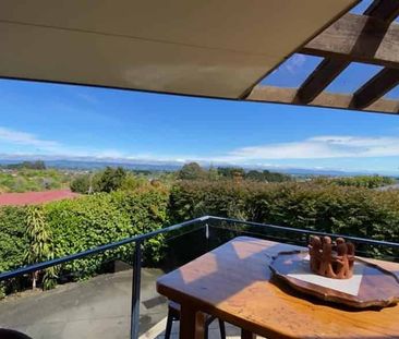 Mountain Views - Photo 4