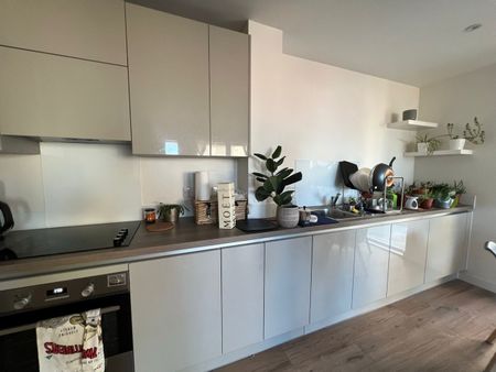 Orvis Court - Photo 5