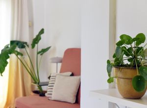 Διαμέρισμα για ενοικίαση - Κουκάκι - Μακρυγιάννη, - Photo 2