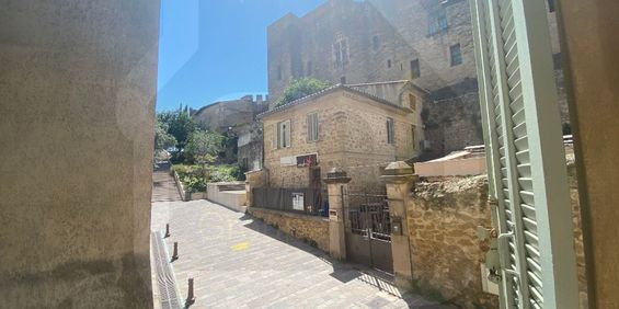 STUDIO MEUBLE CENTRE-VILLE HISTORIQUE 22M2 SALON-DE-PROVENCE, - Photo 3