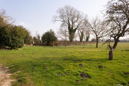 2 bedroom cottage to rent - Photo 4