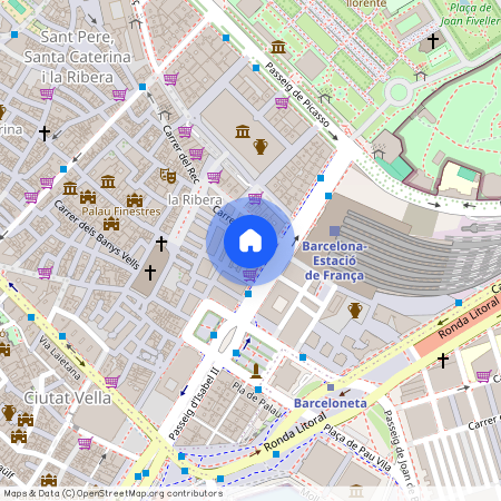 Carrer de la Pescateria, Barcelona, Catalonia 08003