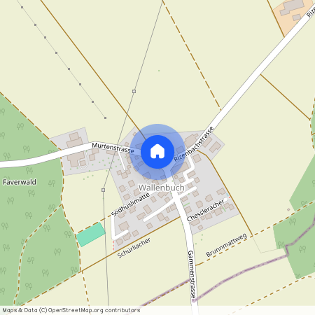 Auf Anfrage, 3206 Wallenbuch