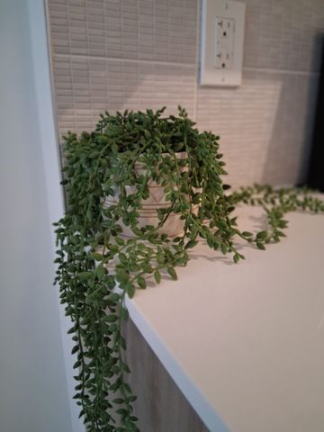 For Lease - 3069 Pharmacy Avenue Unit# 15, Toronto, Ontario - Photo 2