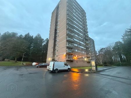 12d Riverdale House, Dunmurry, Belfast, BT17 9DD - Photo 4