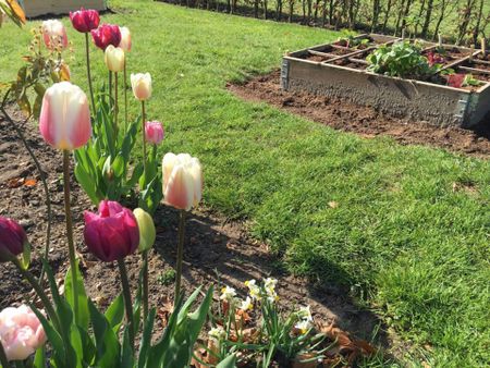 Met fietsenberging & giga tuin - Foto 2