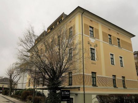 2-Zimmer-Wohnung in beliebter Lage - Photo 2