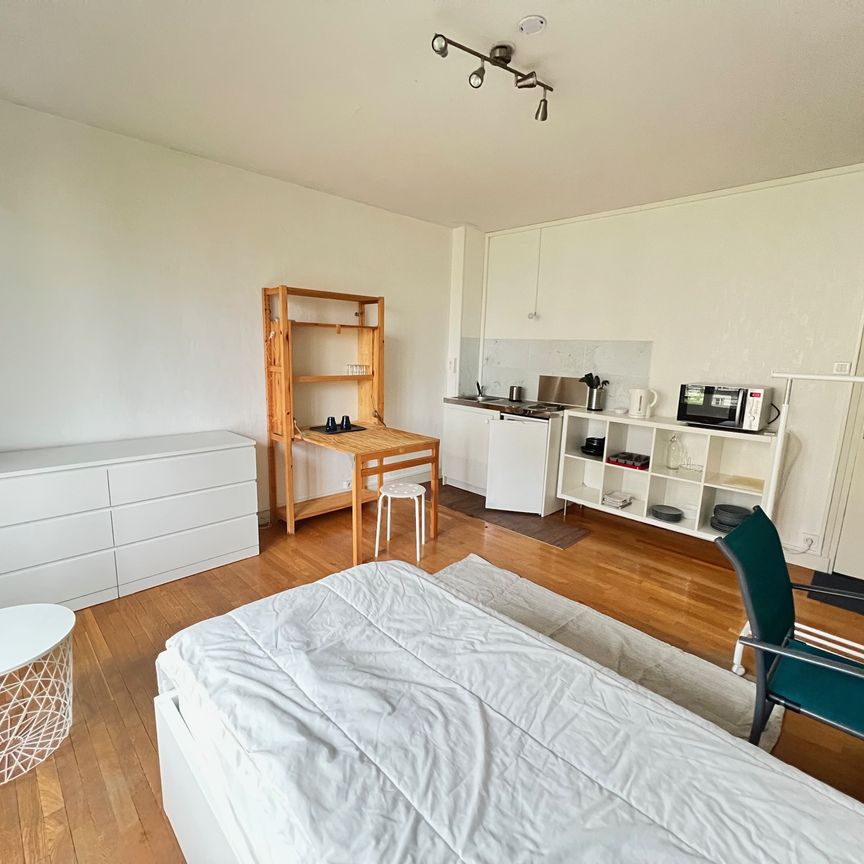 Location Appartement 1 pièce 26m² GRENOBLE 38000 - Photo 1